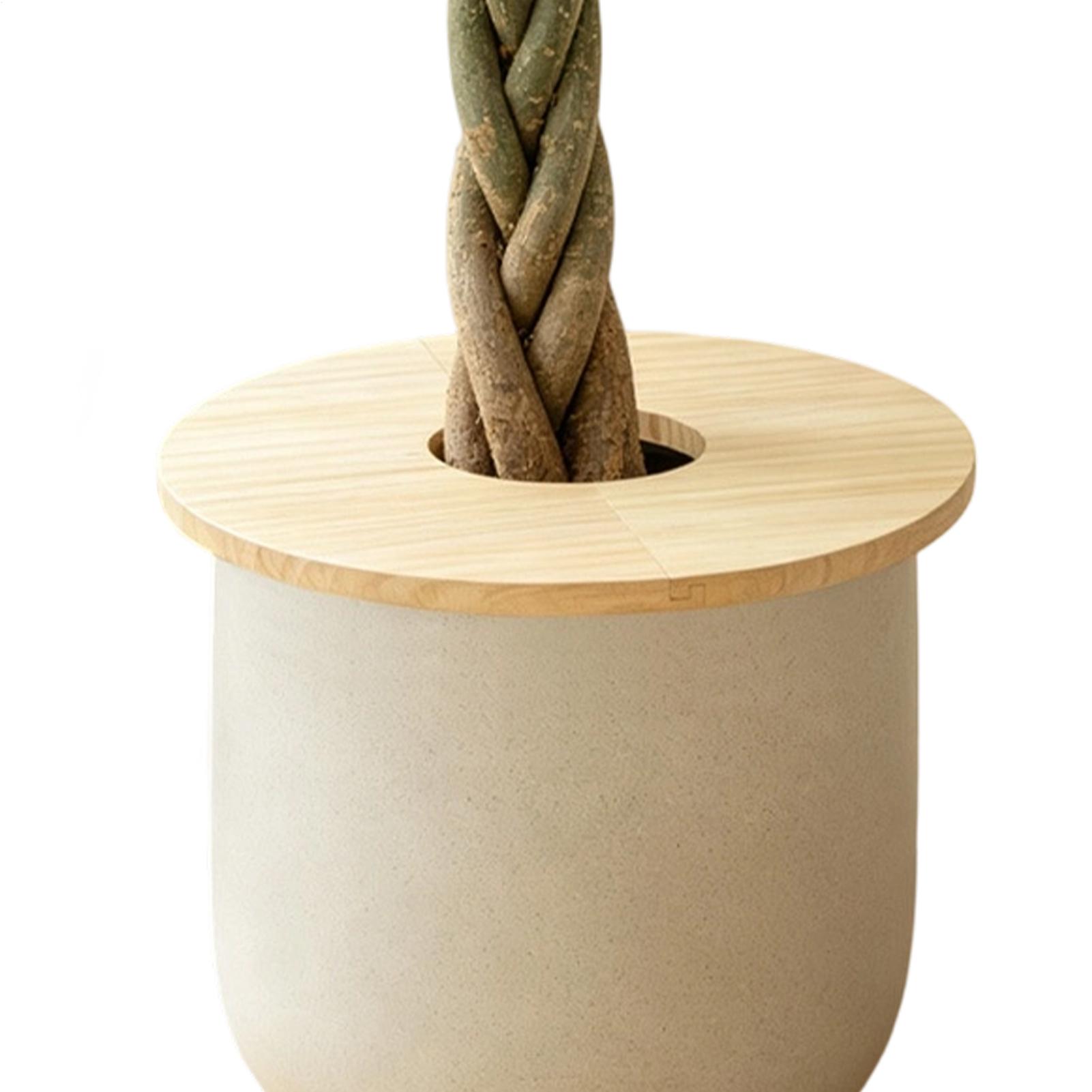 Drewniane osłonki na doniczki, – Indoor Herb Garden recenzja i cena