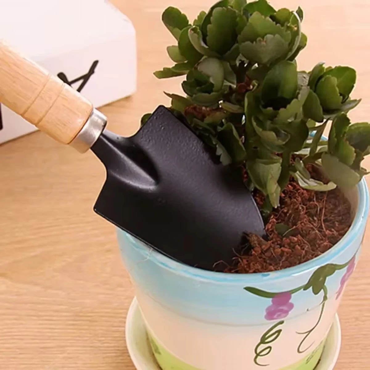 3 szt./zestaw Mini Zestaw Narz – Indoor Herb Garden recenzja i cena