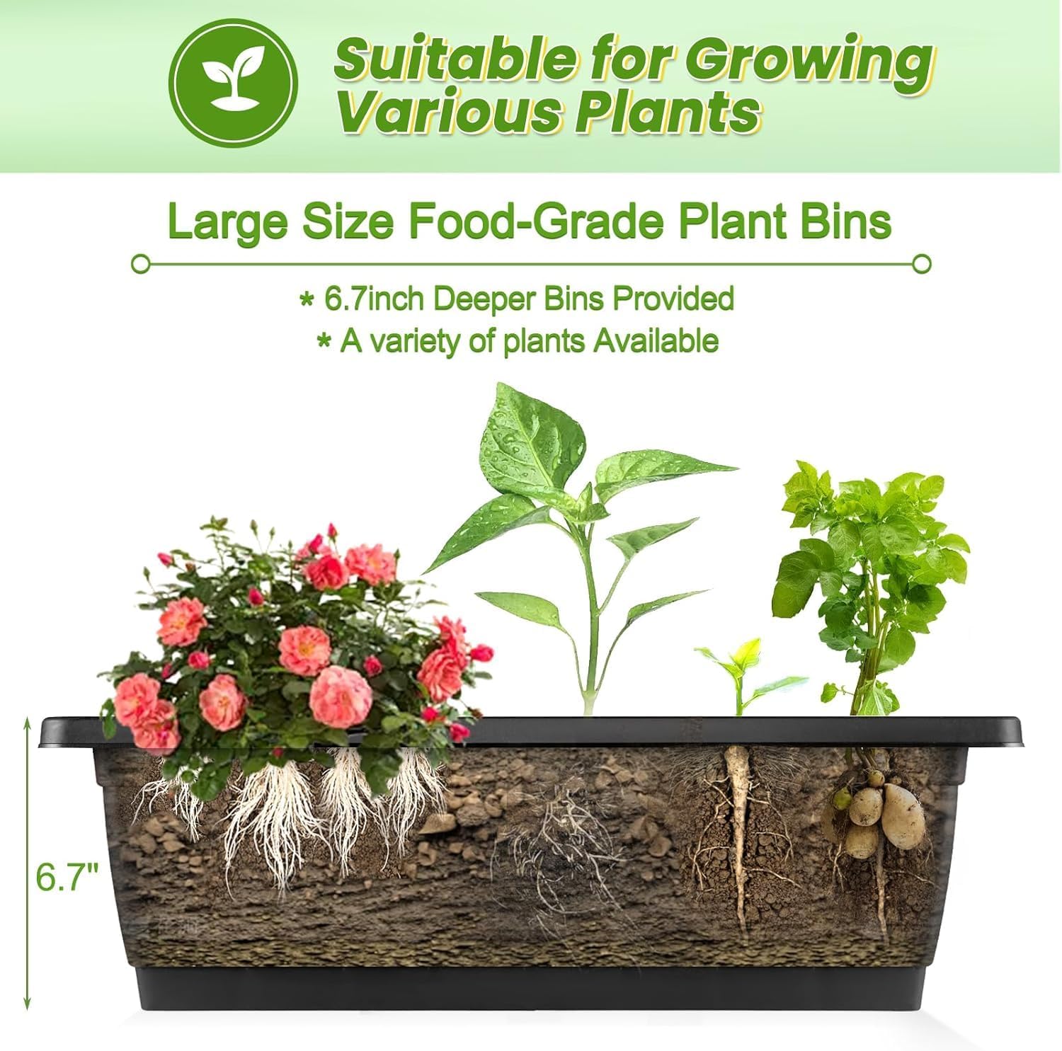 Pionowa podwyższona grządka z  – Indoor Herb Garden recenzja i cena