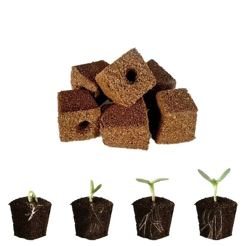 Zestaw gąbek startowych do sad – Hydroponic Kit recenzja i cena