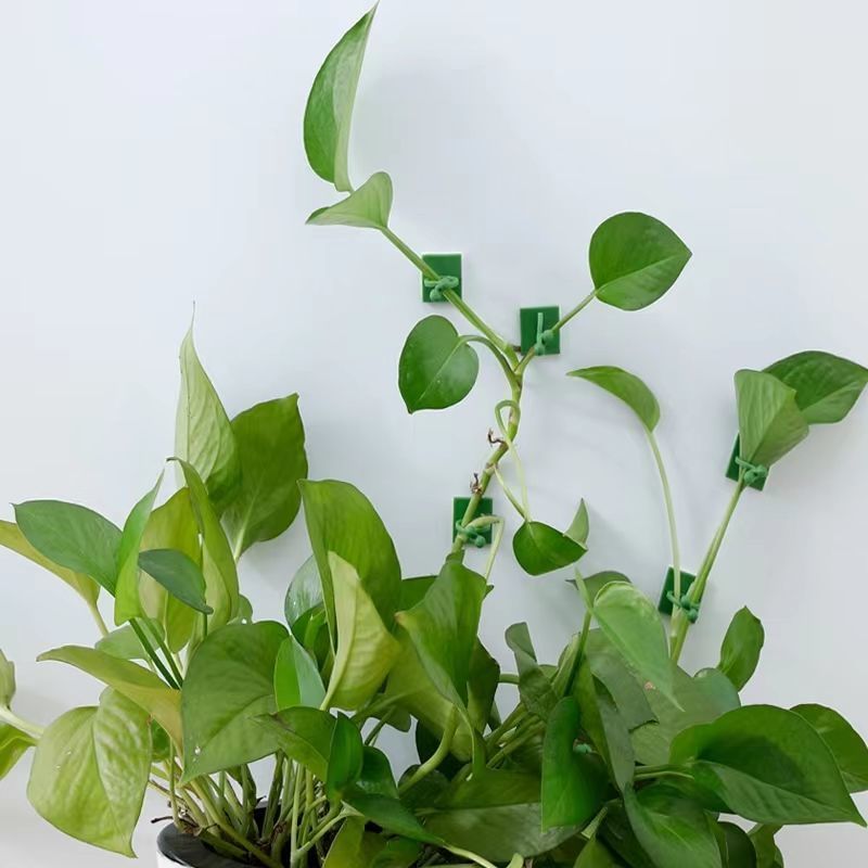 Samoprzylepne klipsy do mocowa – Indoor Herb Garden recenzja i cena
