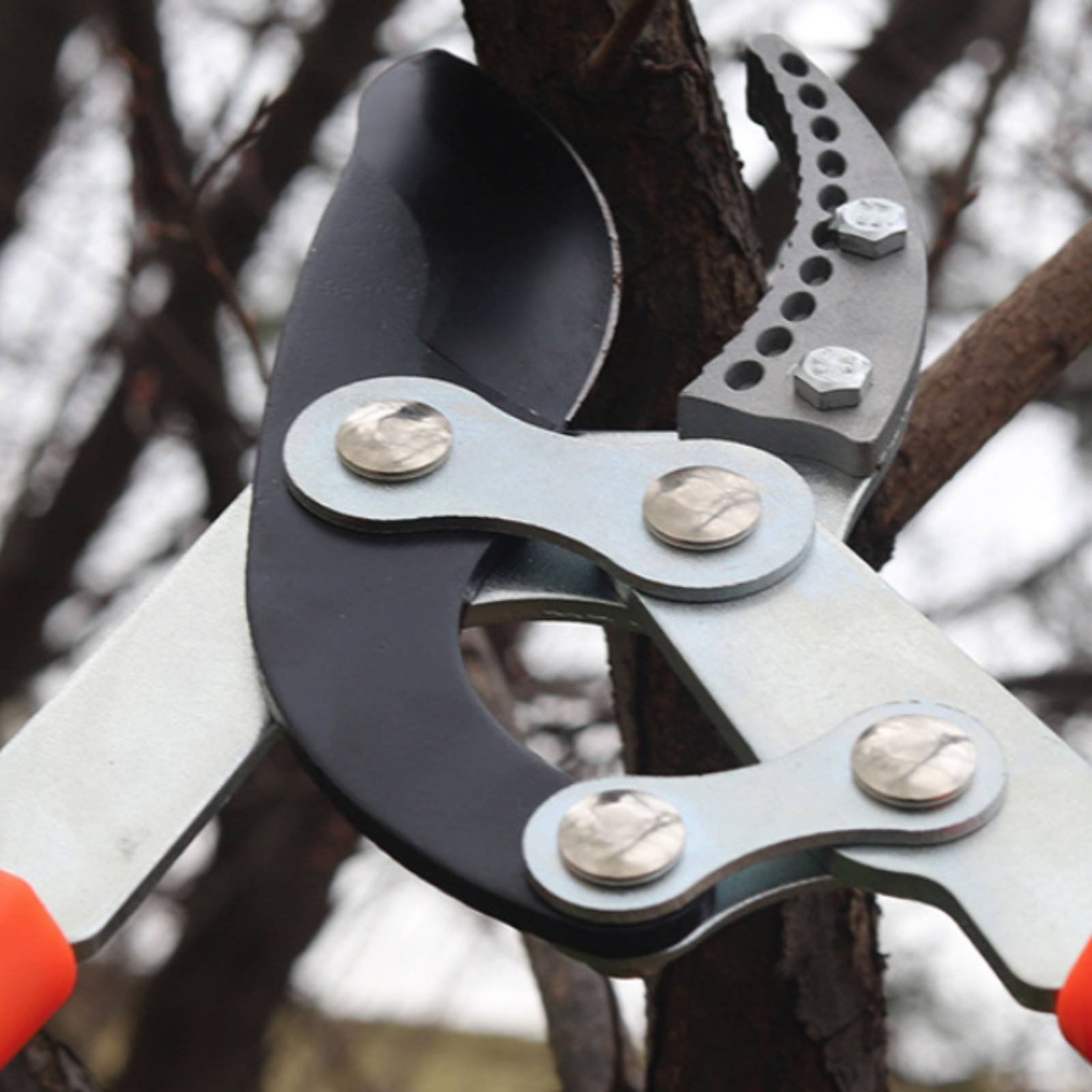 Teleskopowe nożyce do gałęzi z – Pruning Shears recenzja i cena
