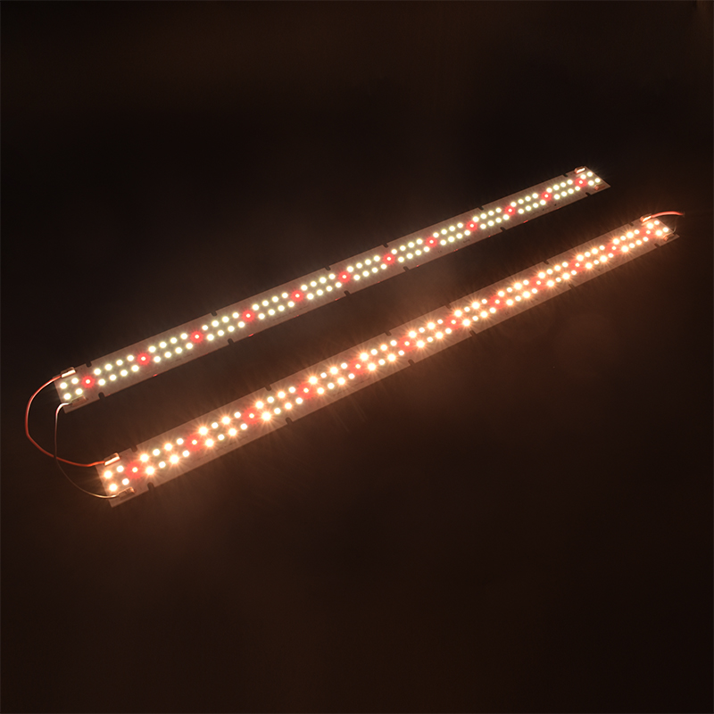 Wysokiej jakości lampa LED COB – Grow Light Led recenzja i cena