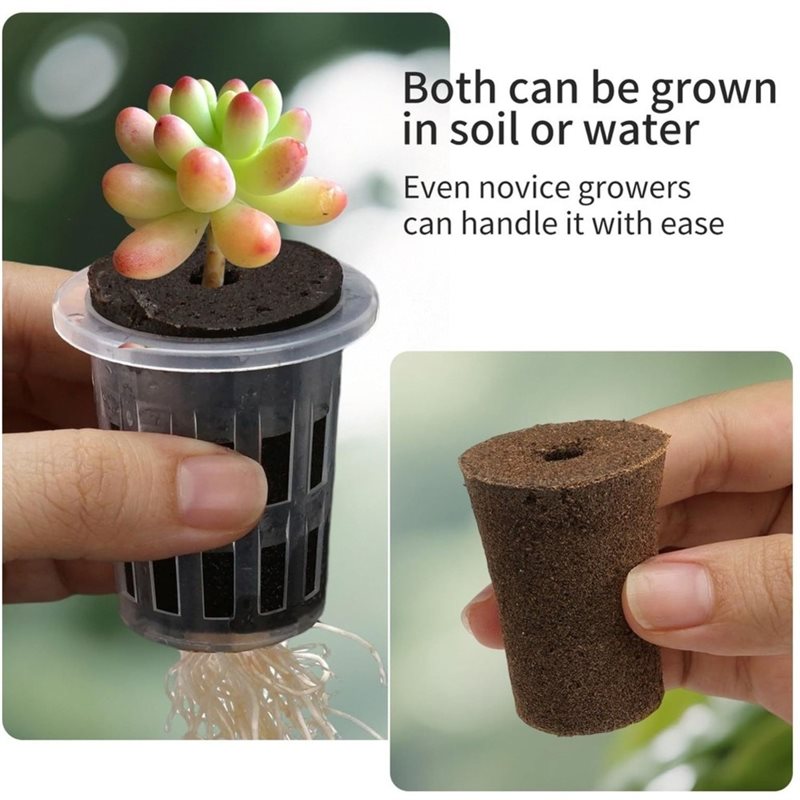 [ABFI!] Hydroponiczny zestaw d – Hydroponic Kit recenzja i cena